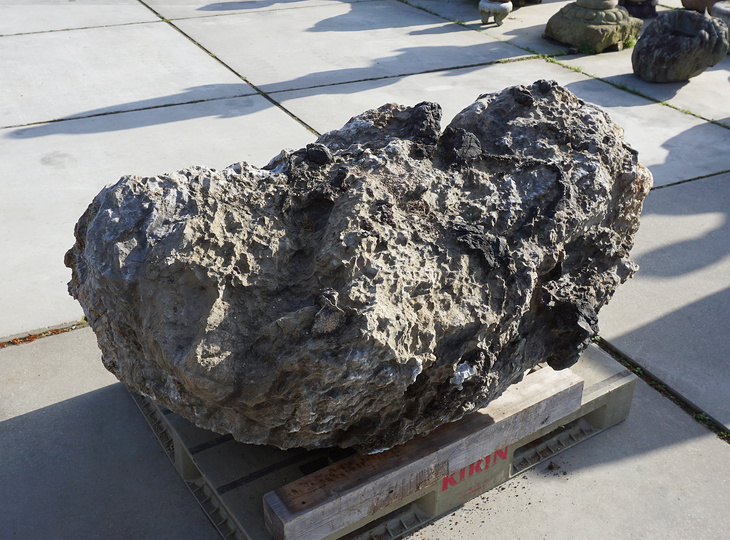 Ibigawa Stone, Japanese Ornamental Rock - YO06010509