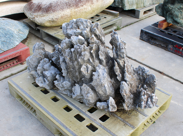 Buy Ibigawa Stone, Japanese Ornamental Rock for sale - YO06010564