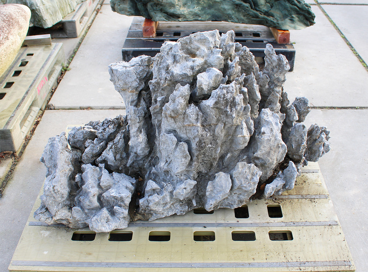 Ibigawa Stone, Japanese Ornamental Rock - YO06010564