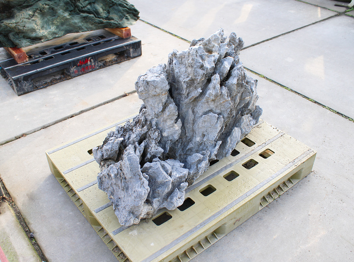 Ibigawa Stone, Japanese Ornamental Rock - YO06010564