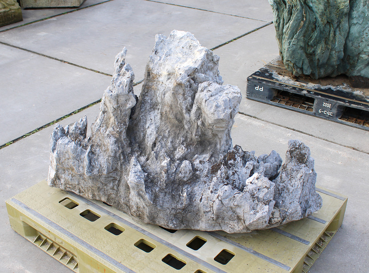 Ibigawa Stone, Japanese Ornamental Rock - YO06010564