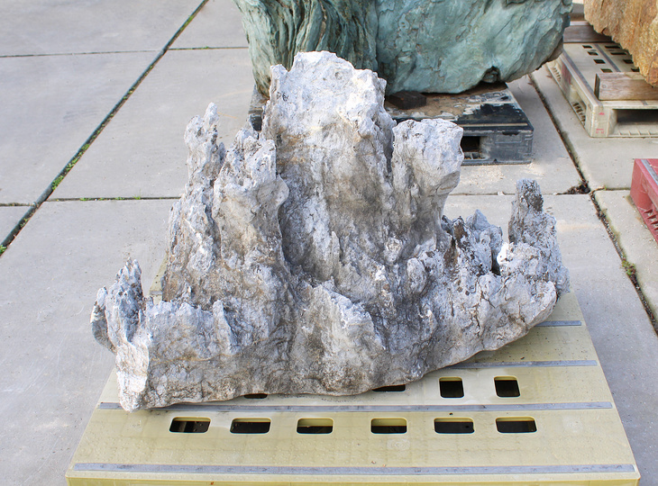 Ibigawa Stone, Japanese Ornamental Rock - YO06010564