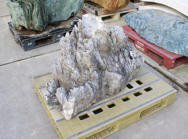 Ibigawa Stone, Japanese Ornamental Rock - YO06010564