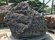 Buy Ibiguro Stone, Japanese Ornamental Rock for sale - YO06010091