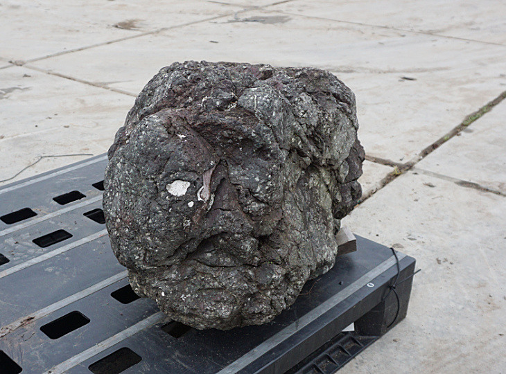 Ibiguro Stone, Japanese Ornamental Rock - YO06010268