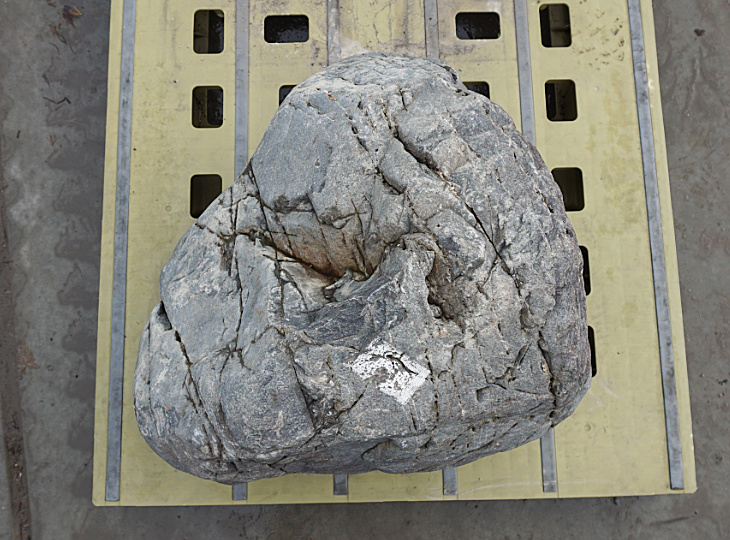 Ibiguro Stone, Japanese Ornamental Rock - YO06010274