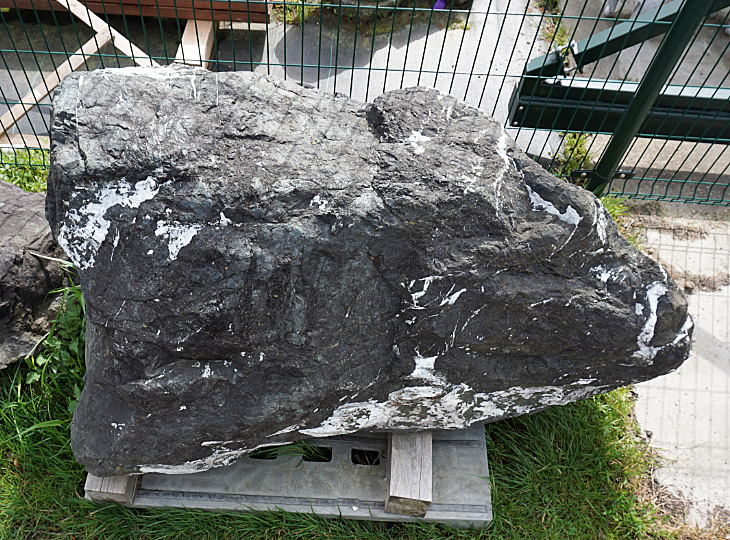 Ibiguro Stone, Japanese Ornamental Rock - YO06010303