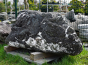 Buy Ibiguro Stone, Japanese Ornamental Rock for sale - YO06010303