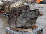Buy Ibiguro Stone, Japanese Ornamental Rock for sale - YO06010355