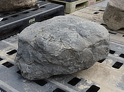 Buy Ibiguro Stone, Japanese Ornamental Rock for sale - YO06010406