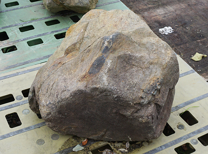 Ibiguro Stone, Japanese Ornamental Rock - YO06010459