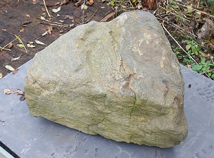 Ibiguro Stone, Japanese Ornamental Rock - YO06010461