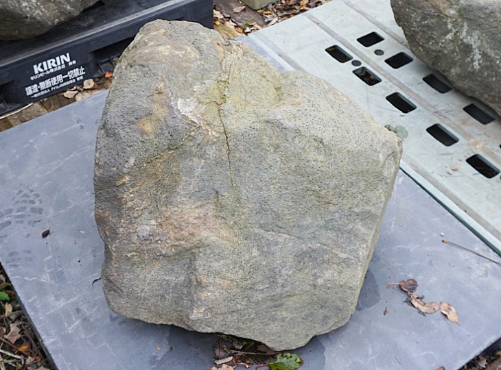 Ibiguro Stone, Japanese Ornamental Rock - YO06010461