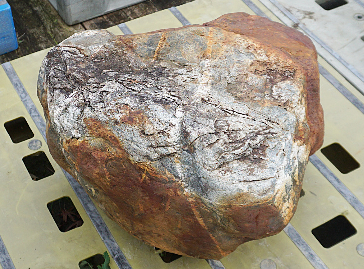 Ibiguro Stone, Japanese Ornamental Rock - YO06010463