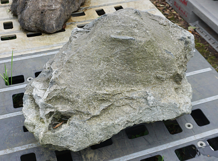Ibiguro Stone, Japanese Ornamental Rock - YO06010467