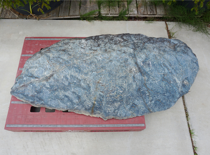 Ibiguro Stone, Japanese Ornamental Rock - YO06010526