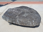 Buy Ibiguro Stone, Japanese Ornamental Rock for sale - YO06010546