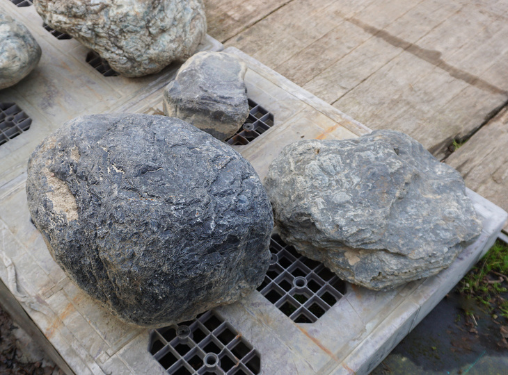 Ibiguro Stone Sanzonseki Set, Japanese Ornamental Rocks - YO06010519