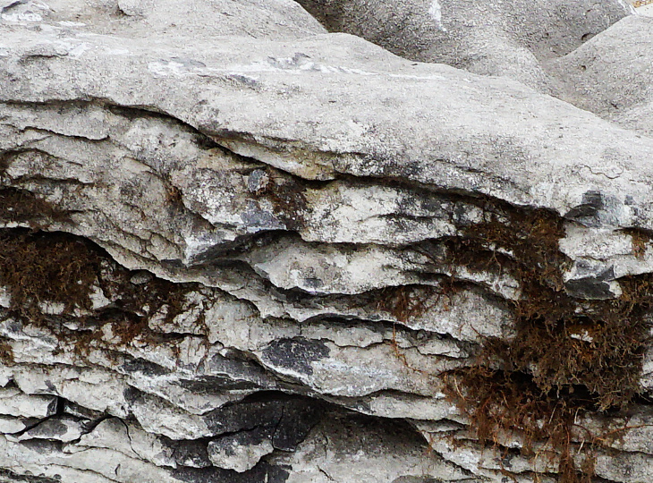 Irish Coastal Limestone, Ornamental Rock - YO06020090