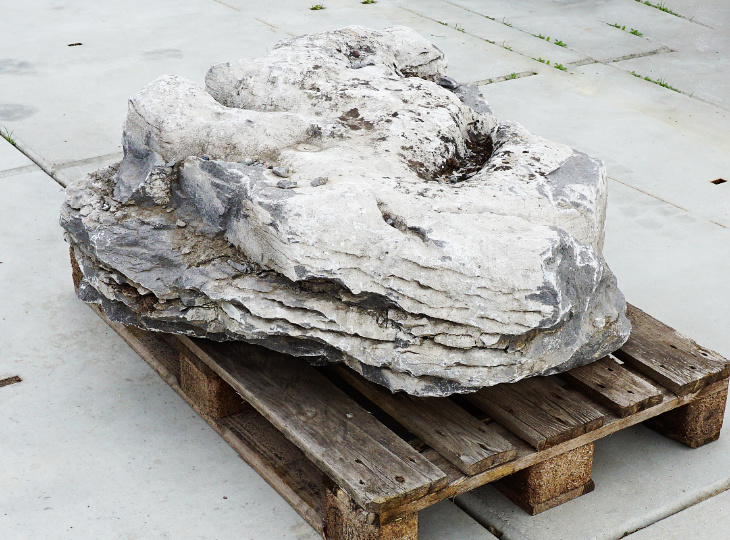 Irish Coastal Limestone, Ornamental Rock - YO06020091