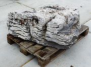 Buy Irish Coastal Limestone, Ornamental Rock for sale - YO06020091