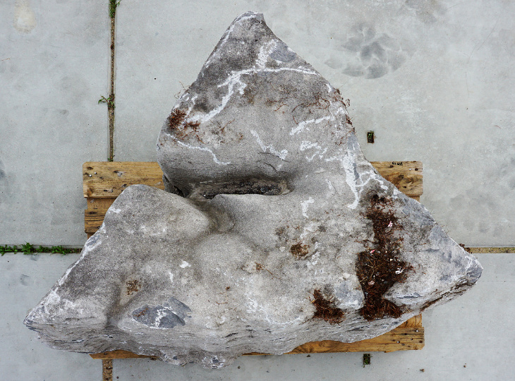Irish Coastal Limestone, Ornamental Rock - YO06020092