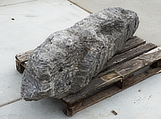 Buy Irish Coastal Limestone, Ornamental Rock for sale - YO06020094
