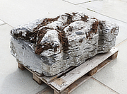Buy Irish Coastal Limestone, Ornamental Rock for sale - YO06020097