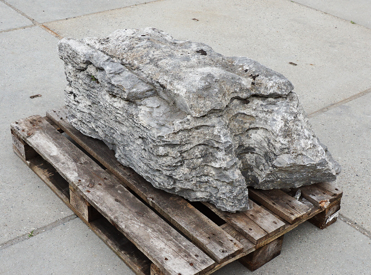 Irish Coastal Limestone, Ornamental Rock - YO06020099