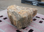 Buy Keikaboku Petrified Wood, Japanese Ornamental Rock for sale - YO06010217