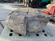 Kikkou Seki Stone, Japanese Ornamental Rock - YO06010112