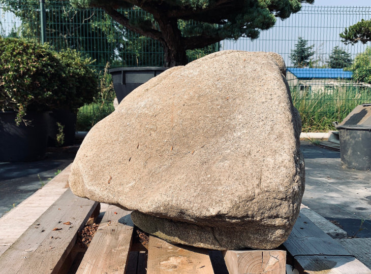 Kikkou Seki Stone, Japanese Ornamental Rock - YO06010173