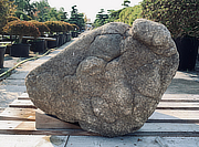 Kikkou Seki Stone, Japanese Ornamental Rock - YO06010173