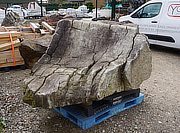 Buy Kikkou Seki Stone, Japanese Ornamental Rock for sale - YO06010307