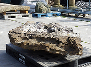 Buy Kimachi Stone, Japanese Ornamental Rock for sale - YO06010292