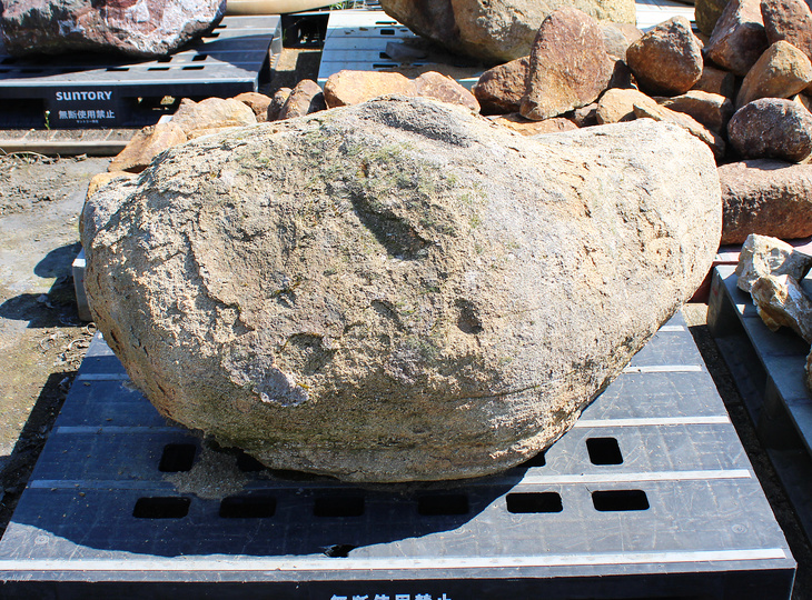 Kimachi Stone, Japanese Ornamental Rock - YO06010602