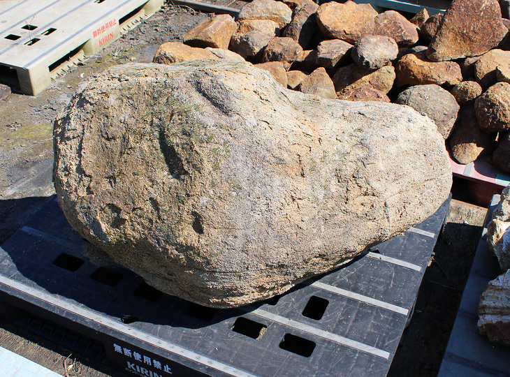 Kimachi Stone, Japanese Ornamental Rock - YO06010602