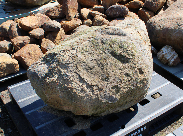 Kimachi Stone, Japanese Ornamental Rock - YO06010602