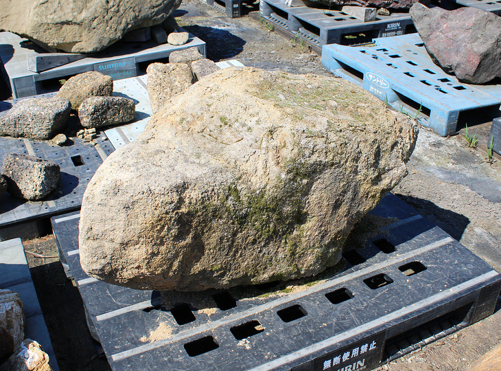 Kimachi Stone, Japanese Ornamental Rock - YO06010602