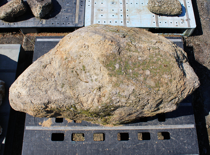 Kimachi Stone, Japanese Ornamental Rock - YO06010602