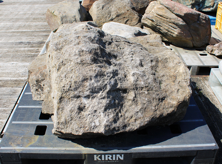 Kimachi Stone, Japanese Ornamental Rock - YO06010603