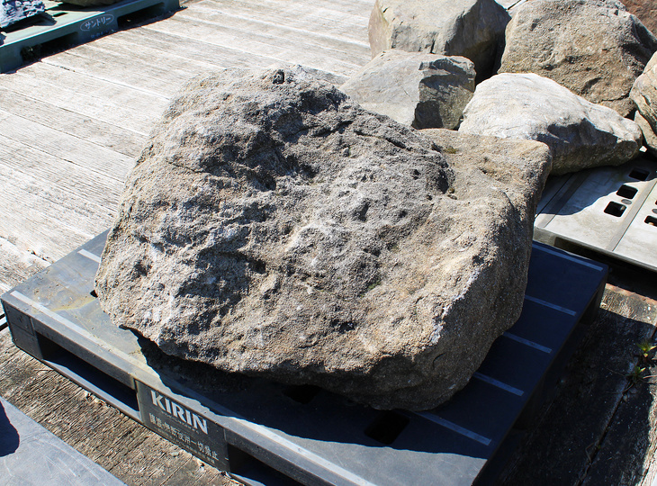 Kimachi Stone, Japanese Ornamental Rock - YO06010603