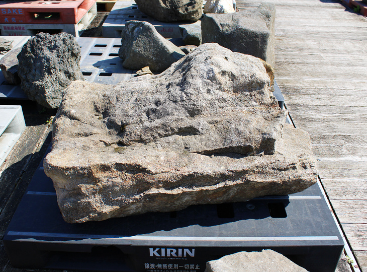 Kimachi Stone, Japanese Ornamental Rock - YO06010603