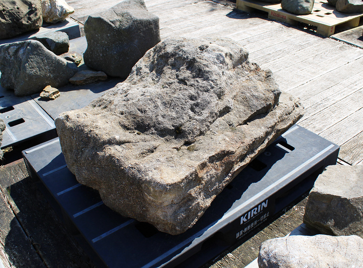 Kimachi Stone, Japanese Ornamental Rock - YO06010603