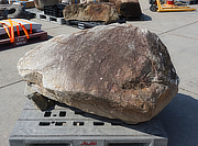 Buy Kurama Stone, Japanese Ornamental Rock for sale - YO06010528