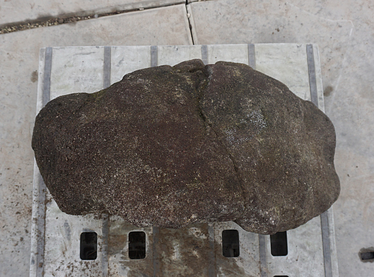 Kuroboku Stone, Japanese Ornamental Rock - YO06010258