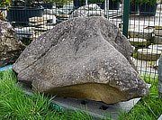 Buy Kuroboku Stone, Japanese Ornamental Rock for sale - YO06010301