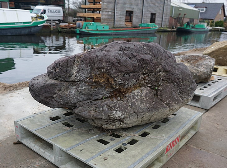 Murasaki Kibune Stone, Japanese Ornamental Rock - YO06010214