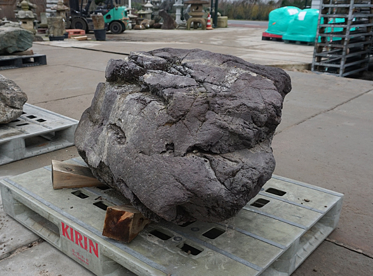 Murasaki Kibune Stone, Japanese Ornamental Rock - YO06010214