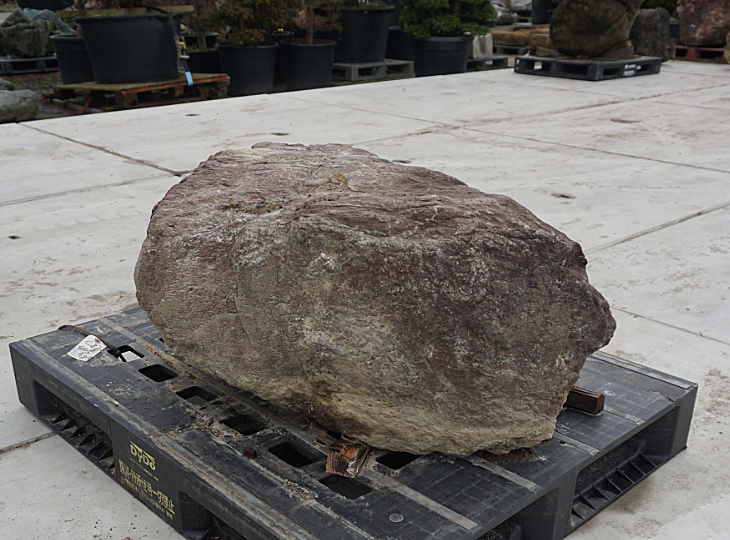 Murasaki Kibune Stone, Japanese Ornamental Rock - YO06010222